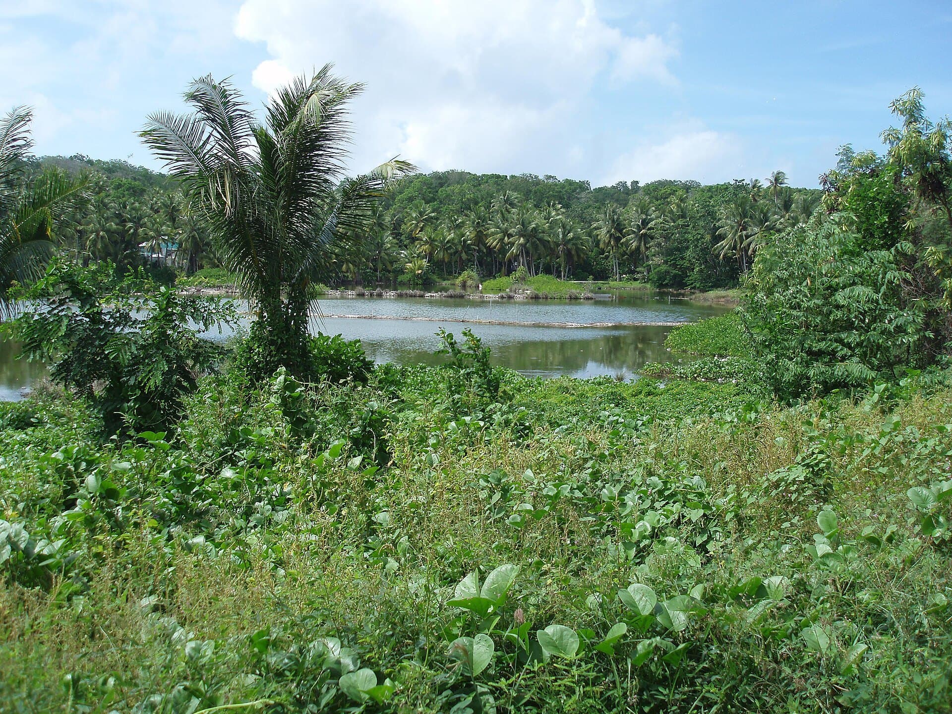 Buada Lagoon